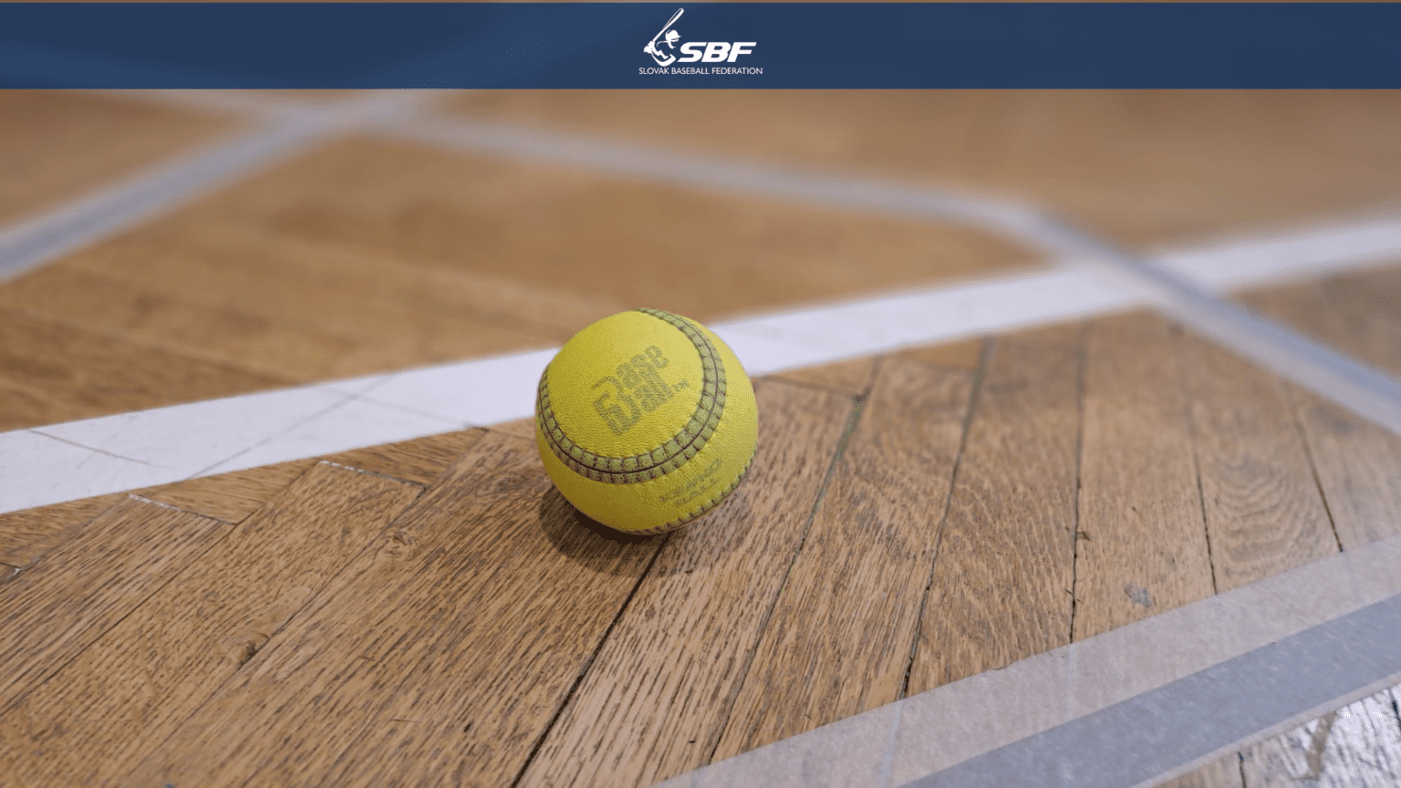 Moduly Baseball5 na slovenských školách